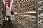 Astes4 / Tekmag Automated plate storage system